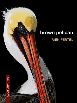 cover image of Brown Pelican